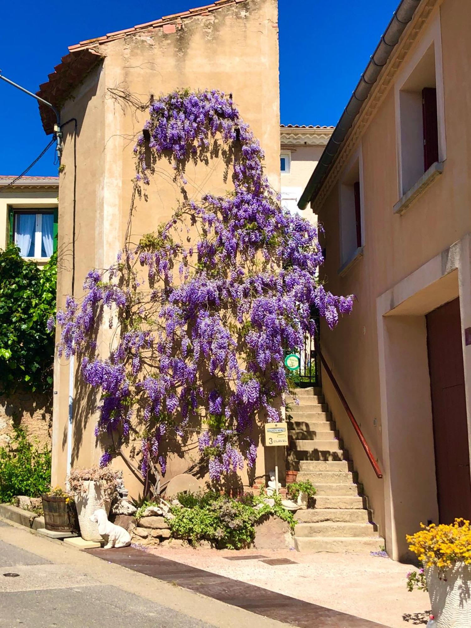Maison Du Midi, 2 Gites De Charme Ginestas Buitenkant foto